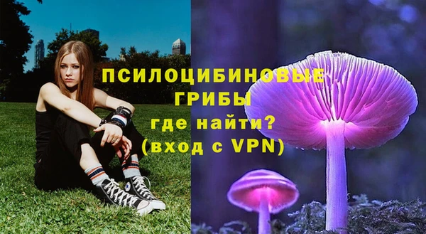 PSILOCYBIN Алзамай